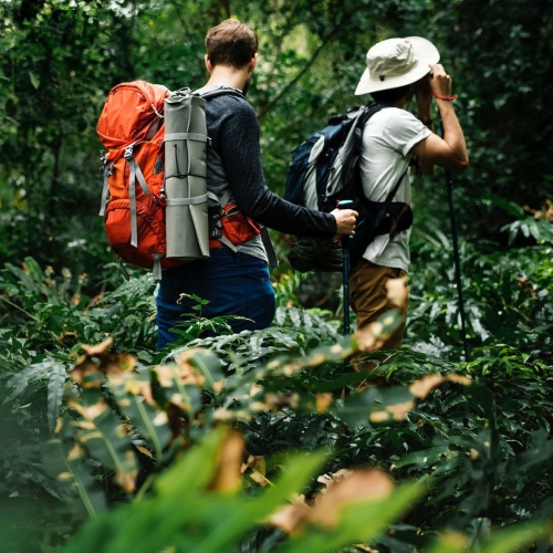 sunrise hiking collectives in bali