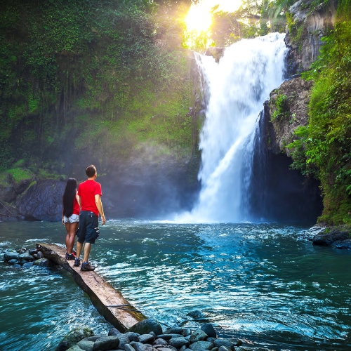 Tropical Jungle Trekking and hidden waterfalls