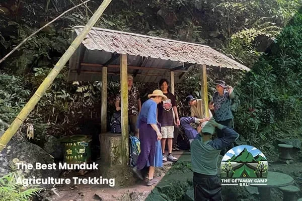 Munduk Agriculture Trekking