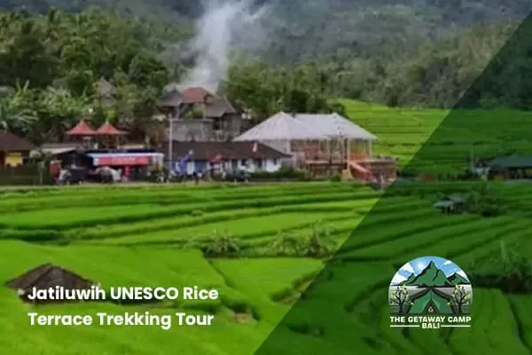 Jatiluwih UNESCO Rice Terrace Trekking Tour
