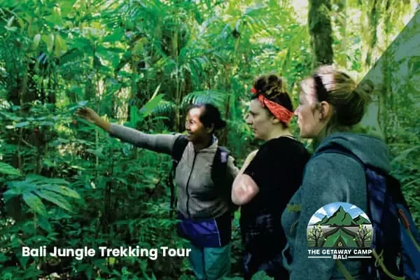 Bali Jungle Trekking Tour