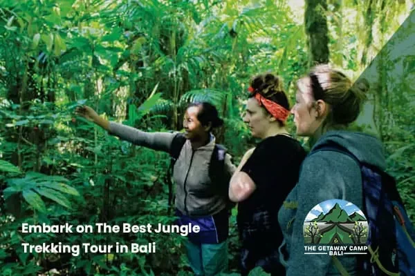 Best jungle trekking tour in Bali