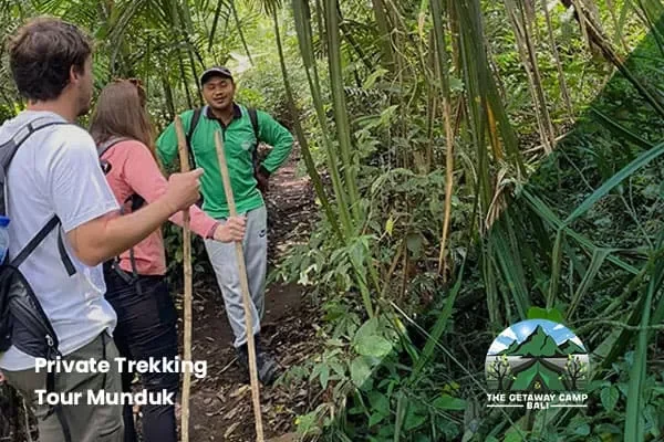 private trekking tour Munduk