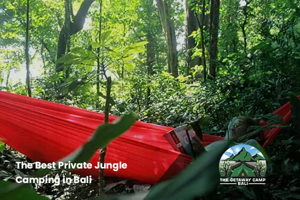 private jungle camping bali